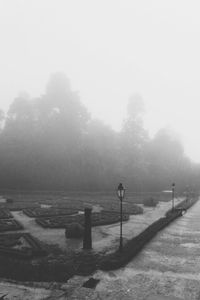 tranquility