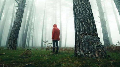 Alone man with red jacket in the foggy woods