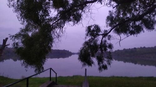 Trees on field by lake against sky