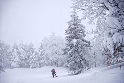 Man on snow covered trees during winter