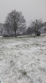 Bare trees on snow field against clear sky