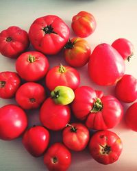High angle view of tomatoes