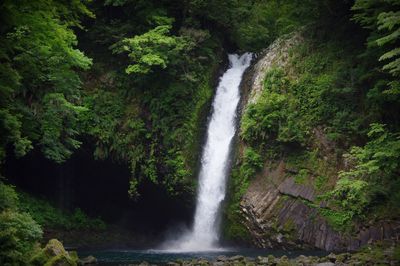 View of waterfall in forest