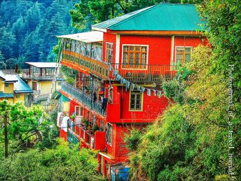 House with trees in background