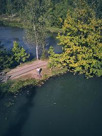 High angle view of bird in lake