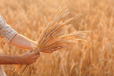 Cropped hands of man holding crop