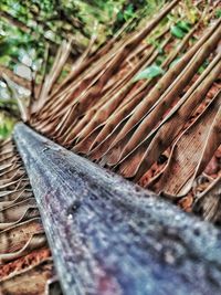 High angle view of wood on field
