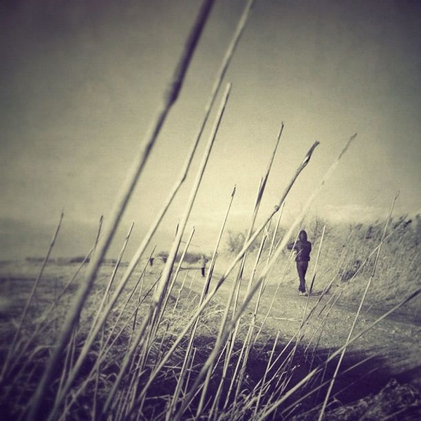 lifestyles, leisure activity, men, beach, sea, water, sky, person, full length, nature, shore, walking, plant, outdoors, day, enjoyment, boys