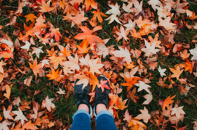 Low section of woman standing on autumn leaves