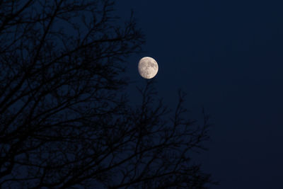 Low angle view of moon in sky at night