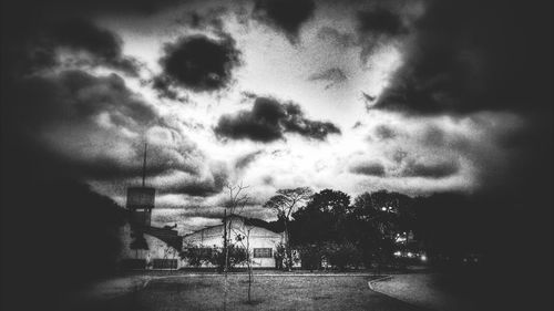 Trees against cloudy sky