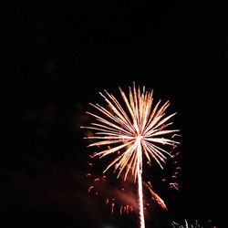 Low angle view of firework display at night