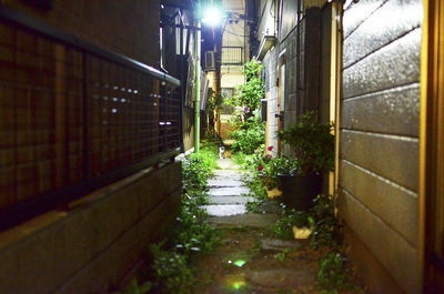 Walkway leading to illuminated building