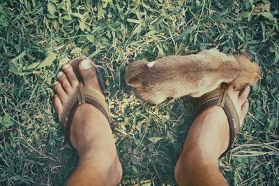 High angle view of puppy by man legs