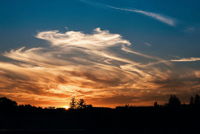 Silhouette trees against sky during sunset