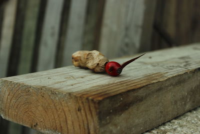 Close-up of wooden plank