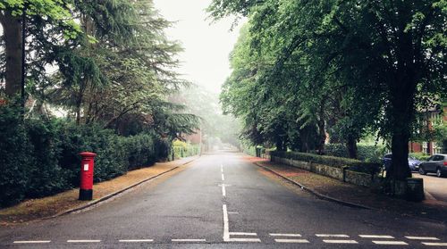 Road amidst trees