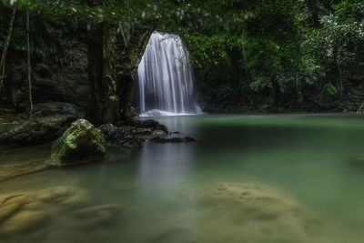 Scenic view of waterfall in forest