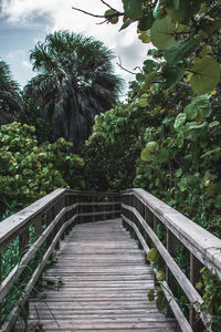 Footbridge amidst trees against sky