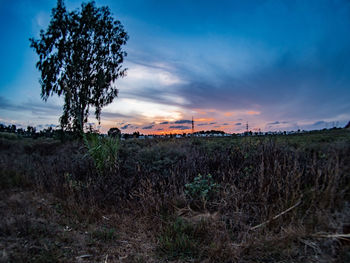 Scenic view of field against sky during sunset