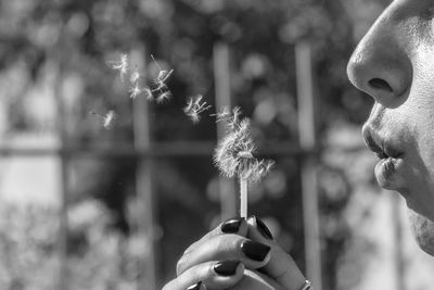 Close-up of woman holding dandelion flower