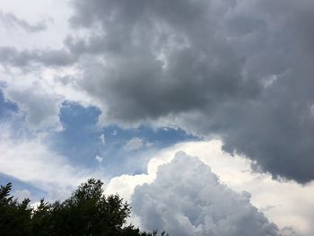 Low angle view of trees against sky