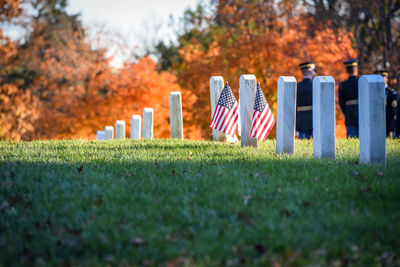 Surface level of cemetery