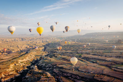 Hot air balloons flying over landscape