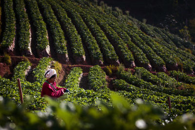 Woman sitting on a field