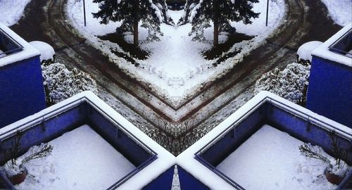 Close-up of snow on tree during winter