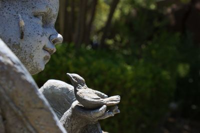 Close-up of statue