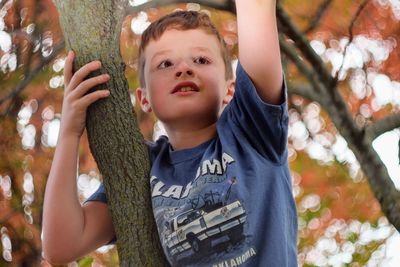 Low angle view of boy against tree