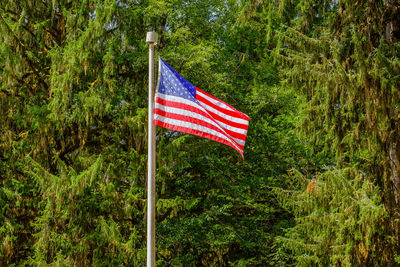 Red flag on pole against trees in forest