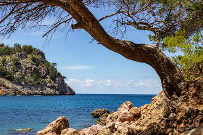 View on the coast at bay cala tuent on a sunny day with clear blue water and rocky coastline