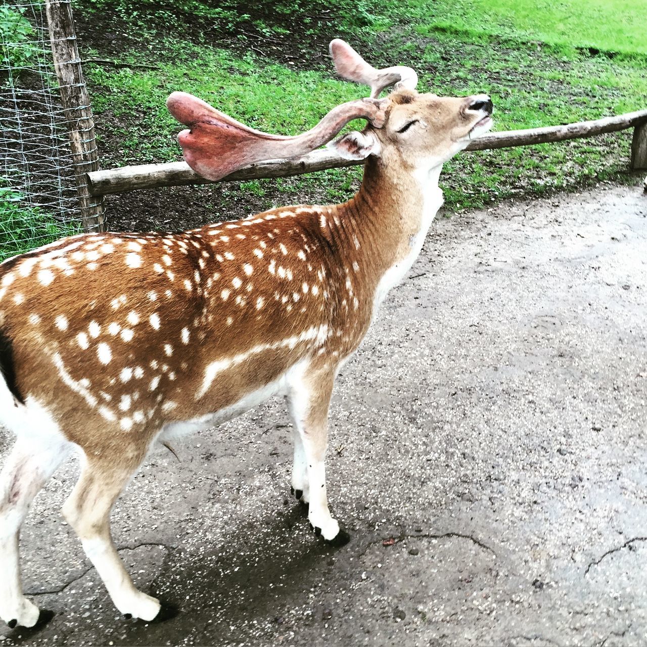 WildparkDüsseldorf