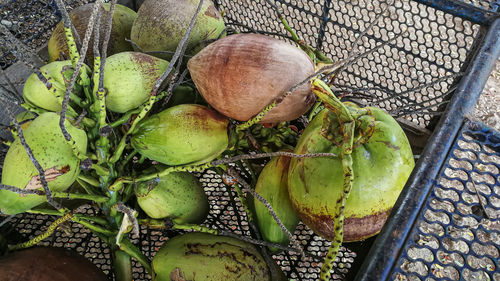 High angle view of fruits in container