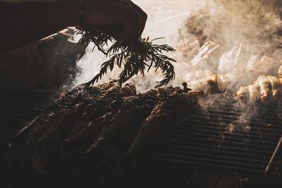 Close-up of meat on barbecue grill