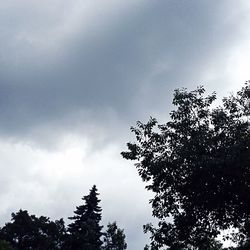 Low angle view of tree against cloudy sky