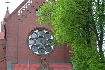 Low angle view of tree by building against sky