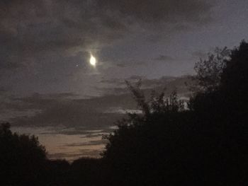 Silhouette trees against sky at night