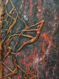 Full frame shot of dry leaves on wall