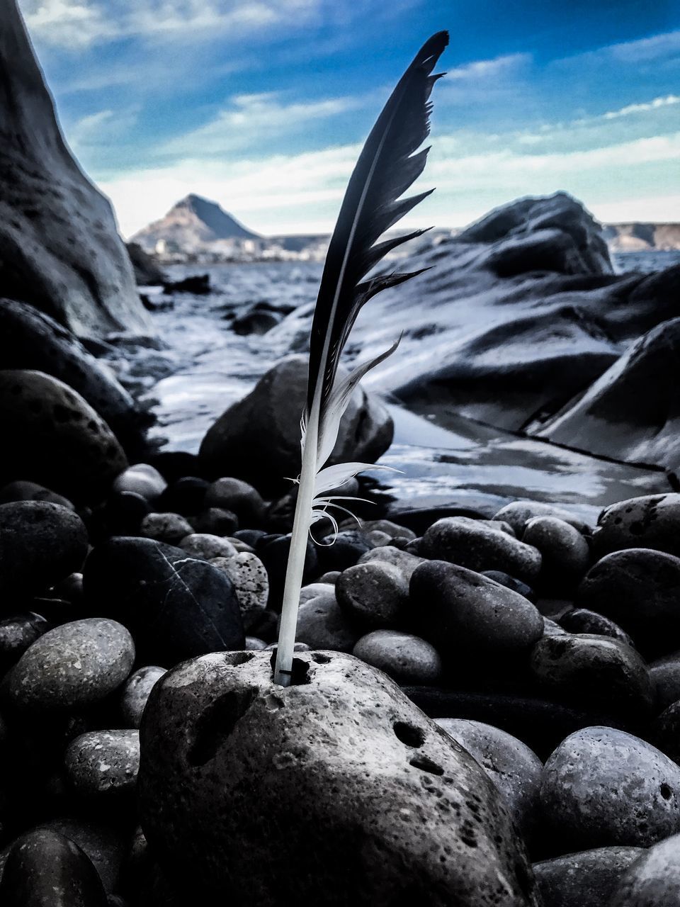 CLOSE-UP OF FEATHER ON ROCKS