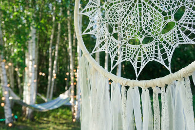 Close-up of a dream catcher on a tree