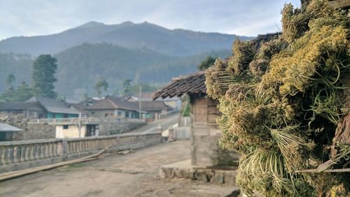 Panoramic shot of houses and trees against sky