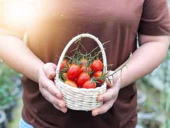 Midsection of man holding strawberries in basket