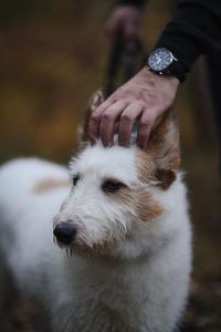 Close-up of man with dog