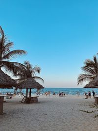 Palm trees on beach against clear sky