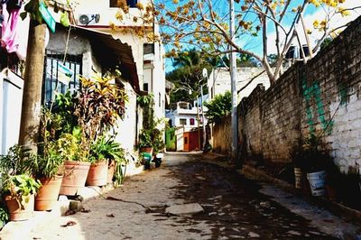 Narrow alley along buildings