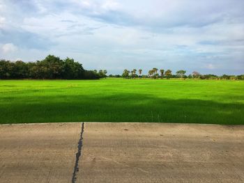 Scenic view of field against sky