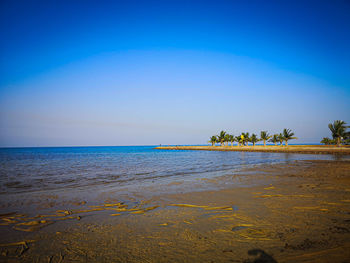 Scenic view of sea against clear blue sky